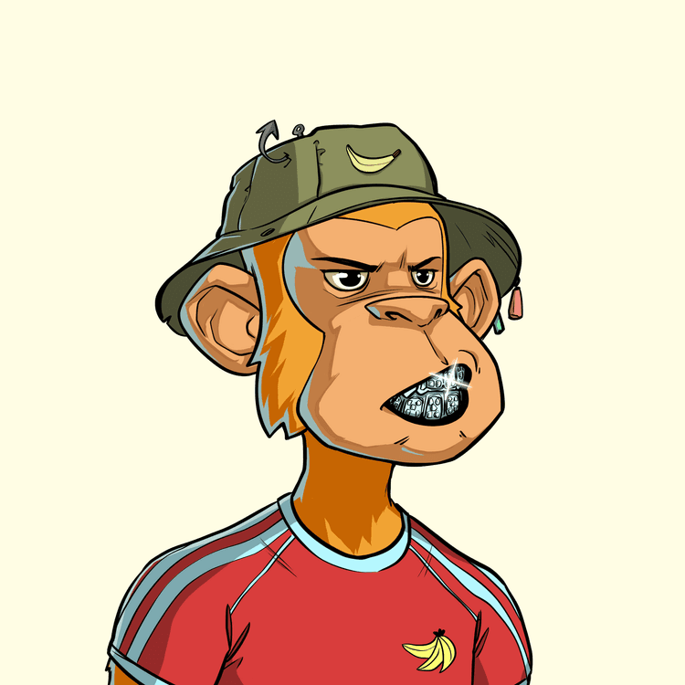 /assets/images/team/sergije-nft.png NFT